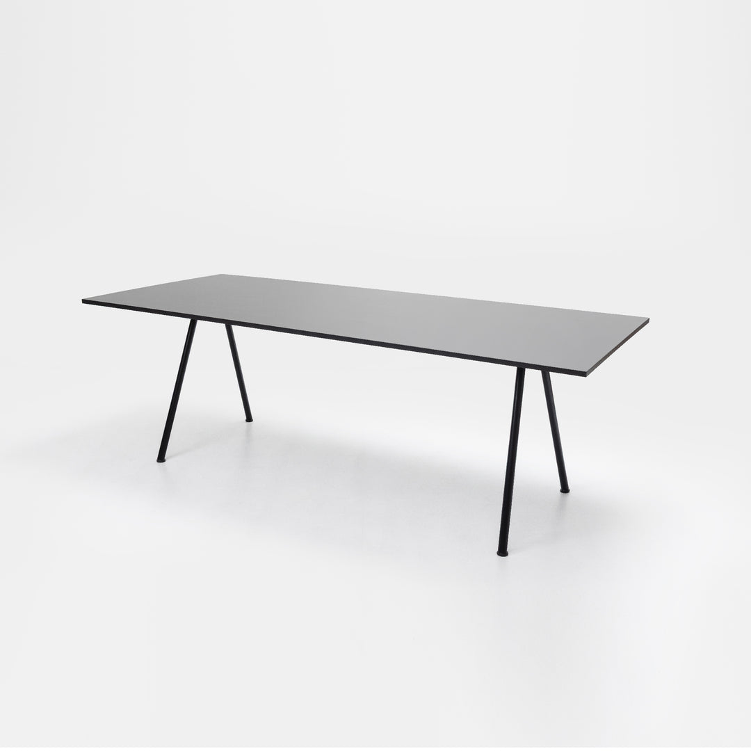 Mesa Sputnik